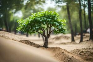 un' piccolo albero in crescita su di il sabbia nel il mezzo di un' foresta. ai-generato foto