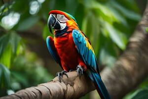 un' colorato pappagallo si siede su un' ramo. ai-generato foto