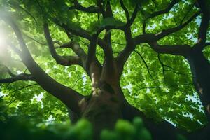 il sole brilla attraverso il le foglie di un' albero. ai-generato foto