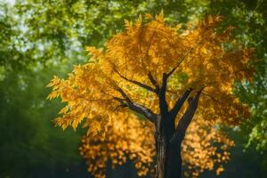 un' singolo albero nel il mezzo di un' foresta. ai-generato foto