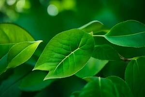 verde le foglie su un' albero. ai-generato foto