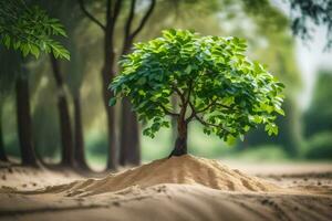 un' piccolo albero in crescita su di il sabbia. ai-generato foto