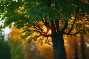 il sole brilla attraverso un' albero nel il foresta. ai-generato foto