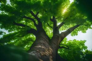 foto sfondo il cielo, alberi, luce del sole, il sole, il sole, il sole, il. ai-generato