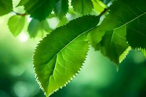 verde le foglie su un' albero. ai-generato foto