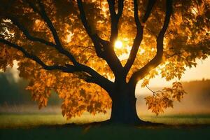 il sole brilla attraverso il le foglie di un' albero. ai-generato foto