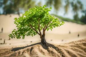 un' piccolo albero in crescita su di il sabbia. ai-generato foto