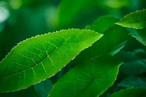 un' vicino su di verde le foglie su un' pianta. ai-generato foto