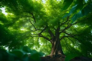 un' albero è mostrato nel il luce del sole con verde le foglie. ai-generato foto