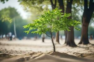un' piccolo albero è in crescita nel il sabbia. ai-generato foto
