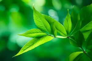 un' vicino su di verde le foglie su un' albero. ai-generato foto