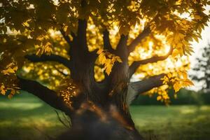 un' albero con giallo le foglie nel il sole. ai-generato foto