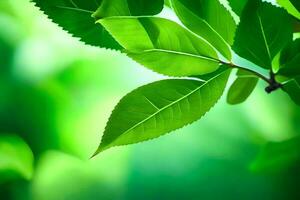 verde le foglie su un' albero. ai-generato foto