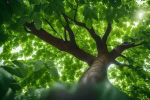 un' albero con verde le foglie e luce del sole. ai-generato foto