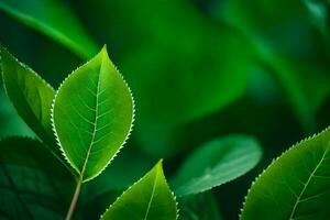 un' vicino su di verde le foglie su un' pianta. ai-generato foto