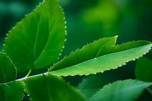 un' vicino su di un' verde foglia con acqua goccioline. ai-generato foto