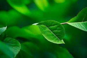 verde le foglie su un' albero. ai-generato foto