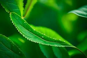 un' vicino su di verde le foglie con acqua goccioline. ai-generato foto