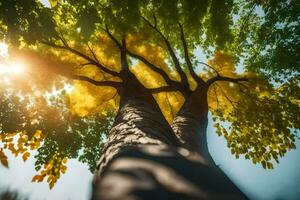 il sole brilla attraverso il le foglie di un' albero. ai-generato foto