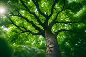 un' albero con verde le foglie e luce del sole splendente attraverso. ai-generato foto