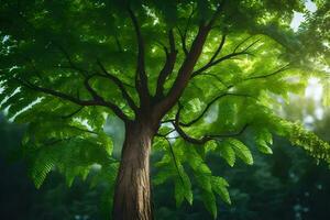 un' albero con verde le foglie nel il luce del sole. ai-generato foto