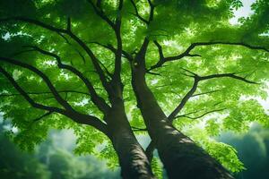 un' albero con verde le foglie nel il luce del sole. ai-generato foto