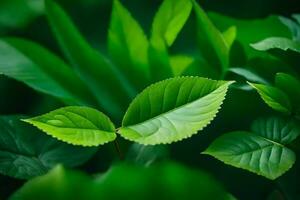 verde le foglie su un' pianta. ai-generato foto