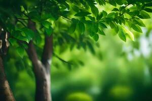 un' verde albero con le foglie nel il sfondo. ai-generato foto