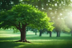 un' albero nel un' verde campo con luce del sole splendente attraverso. ai-generato foto