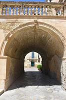 italia, lecce, città con architettura barocca e chiese e resti archeologici. foto