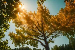 il sole brilla attraverso il le foglie di un' albero. ai-generato foto