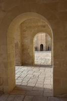 italia, lecce, città con architettura barocca e chiese e resti archeologici. foto