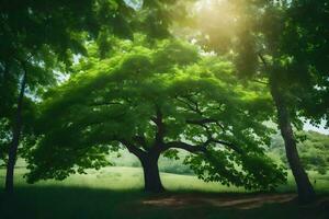 un' albero nel il mezzo di un' campo con luce del sole splendente attraverso esso. ai-generato foto