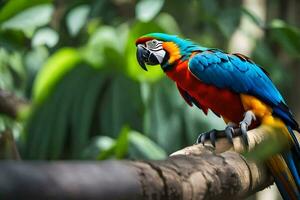 un' colorato pappagallo seduta su un' ramo. ai-generato foto