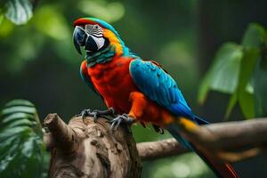 un' colorato pappagallo si siede su un' ramo. ai-generato foto