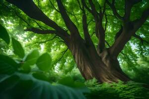 foto sfondo il cielo, alberi, foglie, verde, foresta, il sole, il cielo,. ai-generato