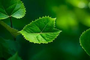 verde le foglie su un' albero. ai-generato foto