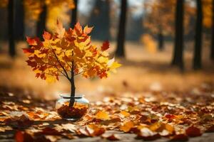 un' piccolo albero è nel un' vaso su il terra circondato di autunno le foglie. ai-generato foto