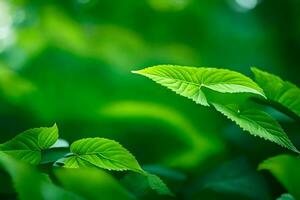 verde le foglie nel il foresta. ai-generato foto