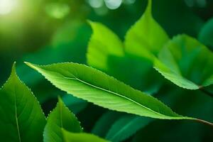 verde le foglie su un' albero con luce del sole splendente attraverso. ai-generato foto