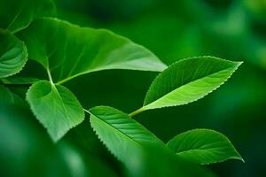 verde le foglie su un' albero. ai-generato foto