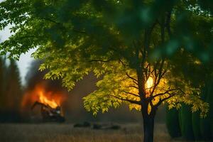 un' albero con un' fuoco nel il sfondo. ai-generato foto