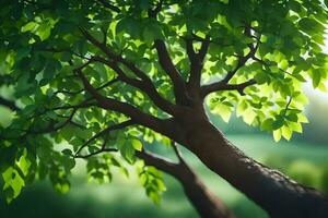 un' albero con verde le foglie nel il luce del sole. ai-generato foto