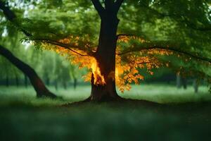 un' albero con un' fuoco ardente nel il mezzo di esso. ai-generato foto