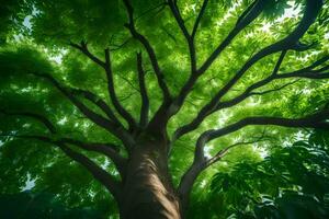 il verde albero nel il foresta. ai-generato foto