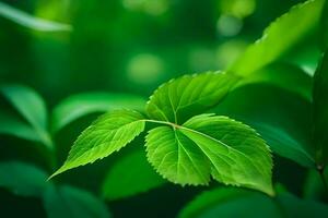 un' vicino su di verde le foglie su un' foresta sfondo. ai-generato foto