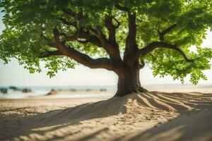 un' albero su il spiaggia con sabbia e acqua. ai-generato foto