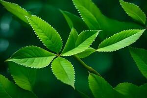 un' vicino su di verde le foglie su un' albero. ai-generato foto