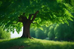 un' albero è in piedi nel il mezzo di un' verde campo. ai-generato foto