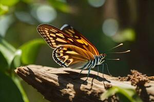 un' farfalla è seduta su un' ramo nel il sole. ai-generato foto